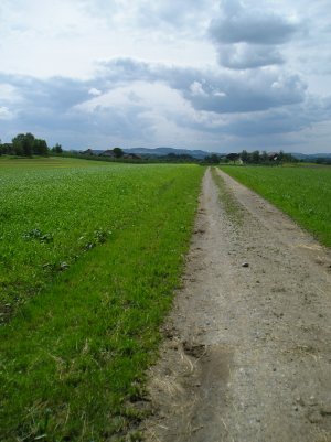 Weg 08 Bild 2